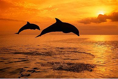 《最终幻想16》提前偷跑 官方呼吁不要剧透